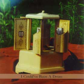 I Could've Been A Drum